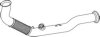 DINEX 66149 Exhaust Pipe